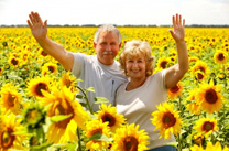 Ubezpieczenia - WithMoney doradcy finansowi